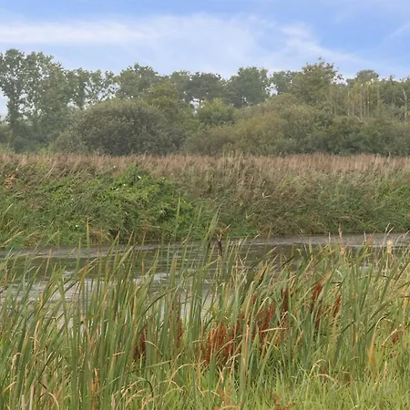 Dom wakacyjny Sunaj By Interhome